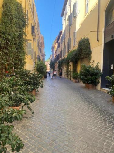 Margutta Domitia Home, Roma