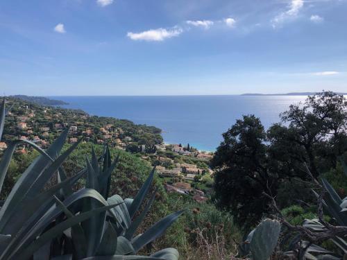 Anglade Hotel - image 10