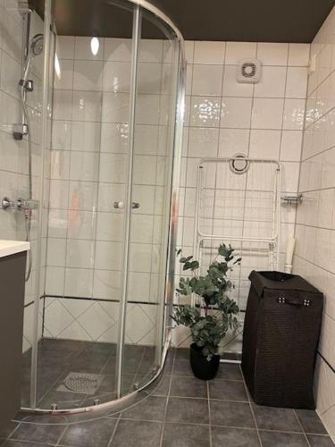 Leilighet i nærheten av Tromsø sentrum 5
