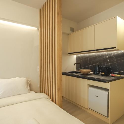 Mini Suites Trikala Room Type - Deluxe Double Studio