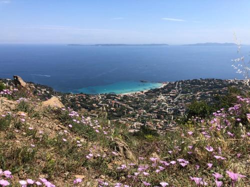 Anglade Hotel - image 6
