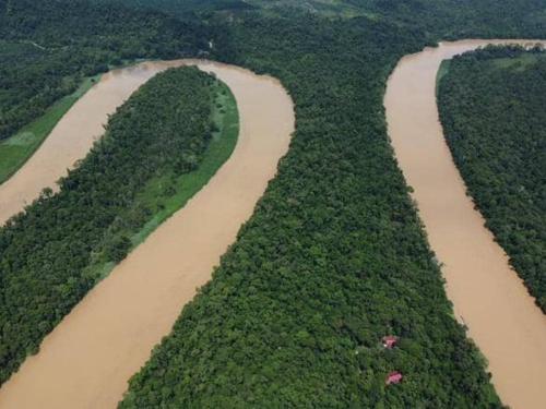 Borneo Jungle Adventure in Kota Kinabatangan