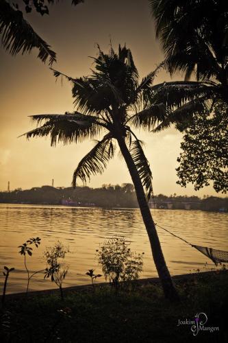 Ashtamudi Villas