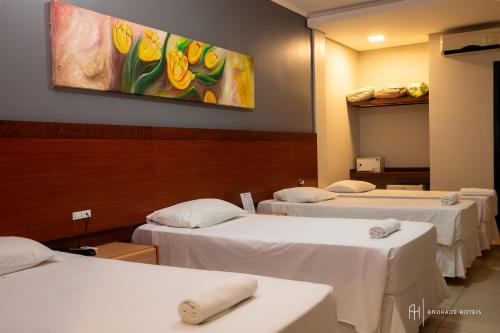 Rede Andrade Vivaldi