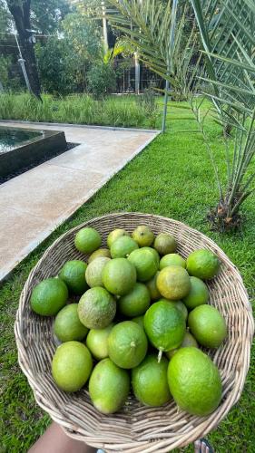 メアリー ヴィラ