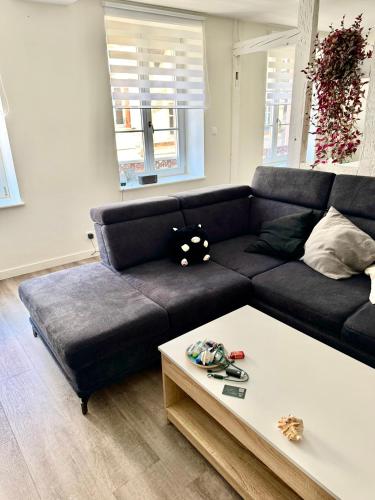 Grand et lumineux 2 pièces avec climatisation en zone pietonne (Grand et lumineux 2 pieces avec climatisation en zone pietonne) in Haguenau Városközpont