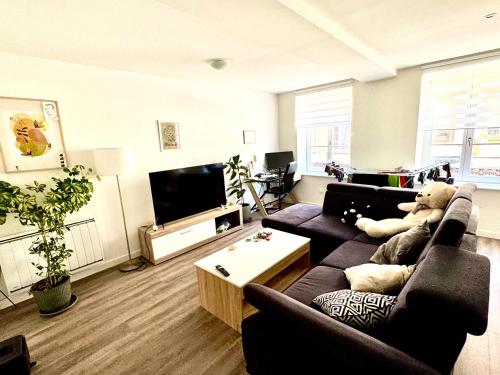 Grand et lumineux 2 pièces avec climatisation en zone pietonne (Grand et lumineux 2 pieces avec climatisation en zone pietonne) in Haguenau Városközpont