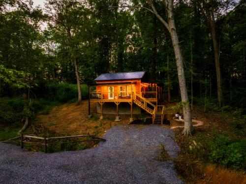 Modern Cabin - The Emerald Nest Modern Cabin - The Emerald Nest