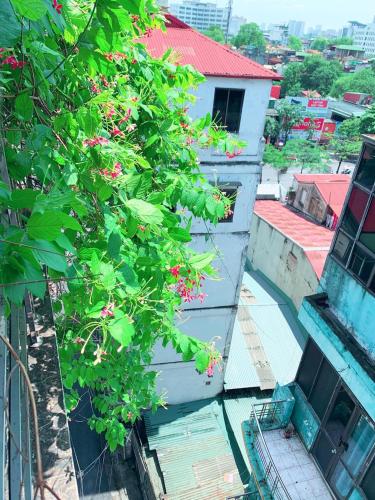 하이바쯩구의 아파트먼트 (25m², 침실 1개, 프라이빗 욕실 1개)