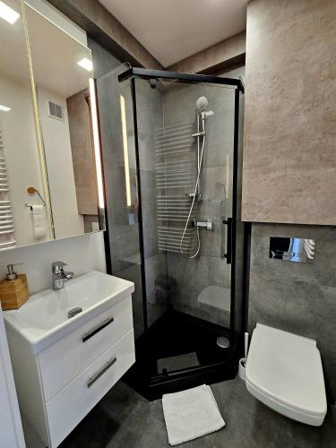 Baño, Apartament Pod Radiostacją -Gliwice Tarnogórska, parking free, klimatyzacja (Apartament Pod Radiostacja -Gliwice Tarnogorska, parking free, klimatyzacja) in Gliwice