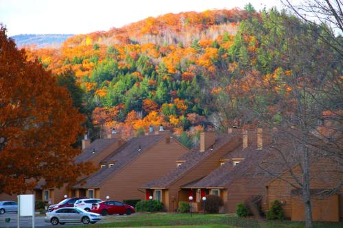 . Cold Spring Plymouth Resort