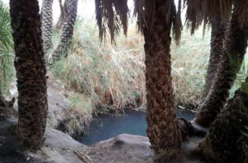Exterior view, סברס in South Dead Sea