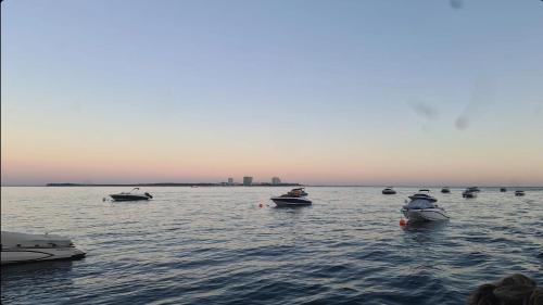 Hostel Jardins de São Luís