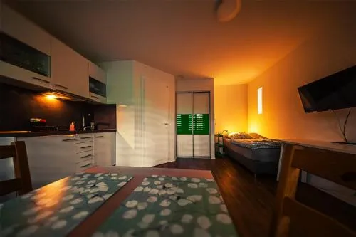 GottwaldHaus-Freiberg-Apartment / A in Freiberg, Deutschland