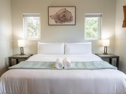 Mountain Serenity Retreat in Florissant, USA