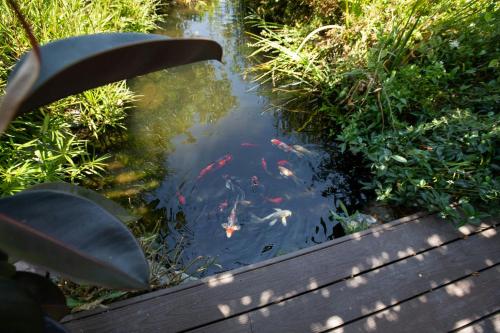 Garden Oasis in Los Angeles, USA