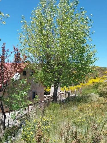 Comfortable house in Cortes do Meio with garden Comfortable house in Cortes do Meio with garden