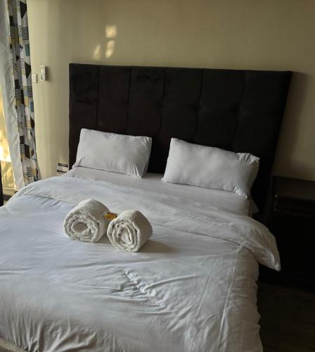 Steady State Apartment 5 in Chelston