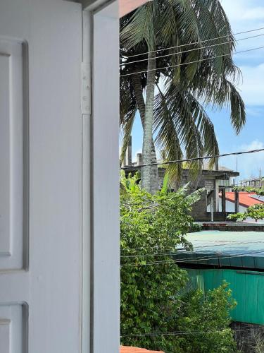 Alkimia, Weligama (fotografie 9)