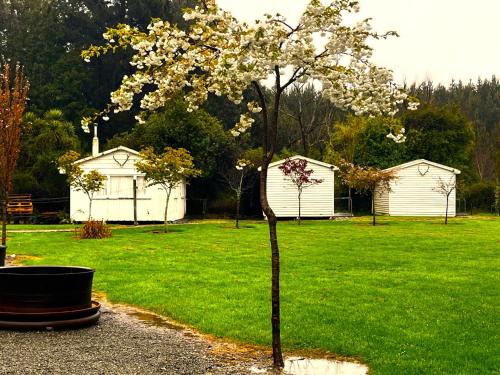 Taringatura Backpackers in Dipton West