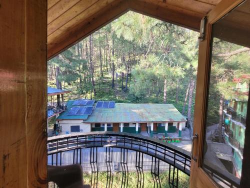 Pine Paradise Homestay - image 4