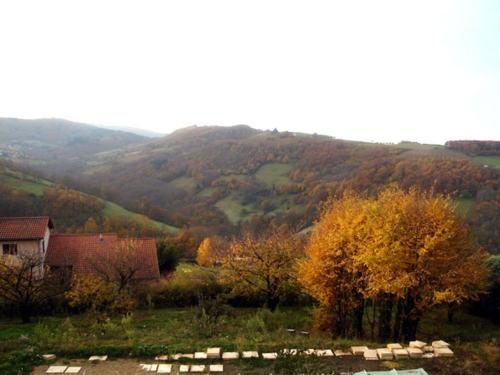 Cadre paradisiaque in L'Arbresle