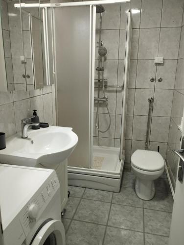 Studio apartman Senka