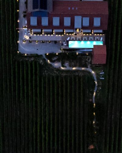 VINEHO, Barolo (foto 3)