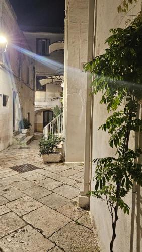 Vecchia Mottola Albergo Diffuso - 숙소 외관