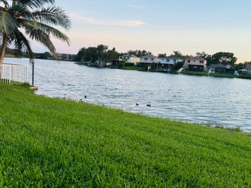 Surrounding environment, Cozy lakeside suite with private bath & entrance in Pembroke Pines