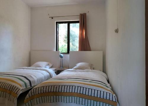 Country House Silves in Poco Fundo