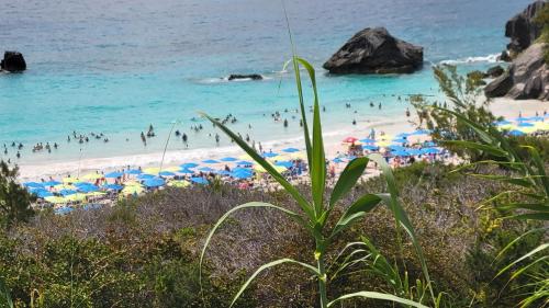 AIRBAB Moon Gate East in Bermuda