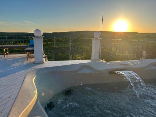 Spa, Danelis Hotel in Edelény