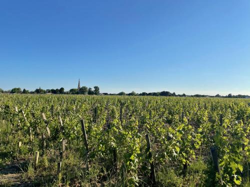 Apkārtne, L'Amphore du clos de Bigos in Soussans