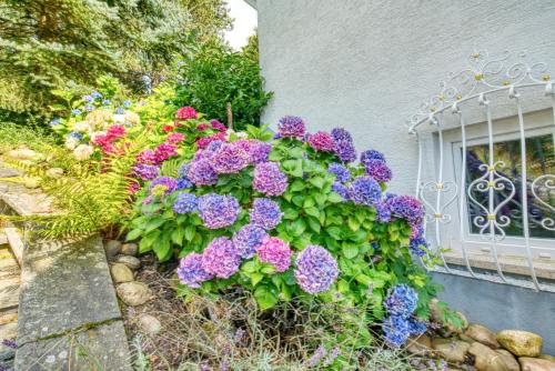 Penthouse mit Aussicht über den Wald