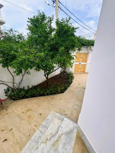 Jardin, Étage de villa spacieux aux Jardins de la Soukra (Etage de villa spacieux aux Jardins de la Soukra) in El Aouina