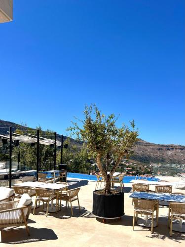 View, Cherrytales in Hammana