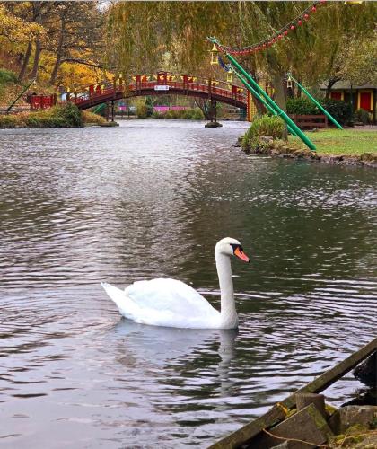 The Russell - image 14