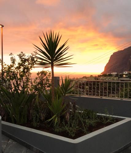 Oásis Suites - Funchal 1
