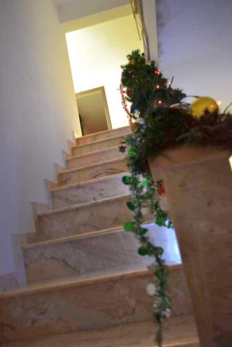 Pensiunea Lui Nea Nicu Lepsa in Lepsa