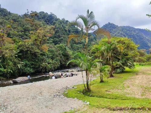 Mindo Garceta Sol in Mindo