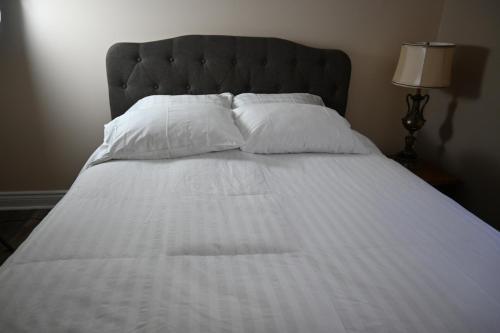 Elgin Suite, Niagara Falls (foto 8)