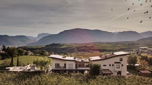 Weingut Klaus Lentsch Room Type - One-Bedroom Apartment with View