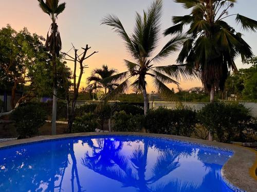景色, Hera Hostel Diani in モンバサ