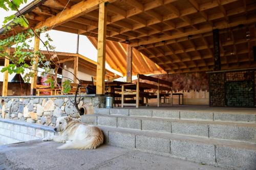 Areni Wine Art in Areni