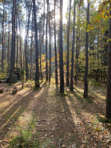Вид, Przytulny domek w lesie blisko rzeki in Козеніце