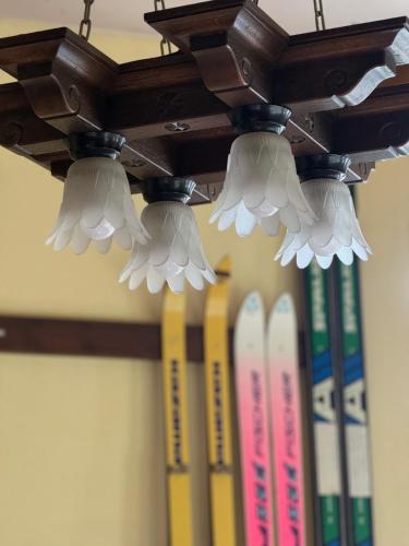 Hotel Junior Mint Hakuba