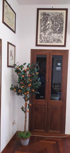toty alla guilla, Palermo (fotografie 4)