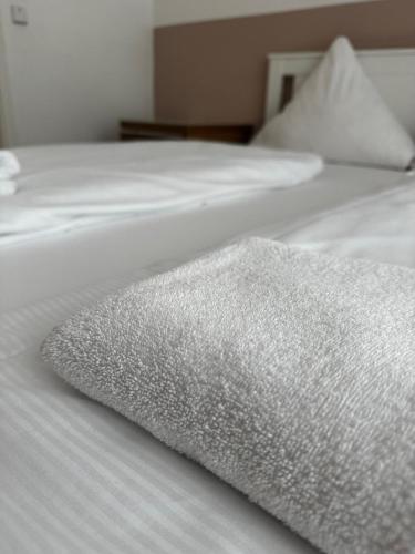 Erlanger Hof Room Type - Twin Room