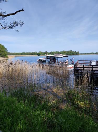 Tegevused, Dom na Suwalszczyźnie (Dom na Suwalszczyznie) in Mikołajewo
